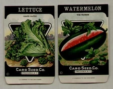 1920's CARD SEED CO. PACKETS - WATERMELON / LETTUCE LITHO SEED PACKET SET