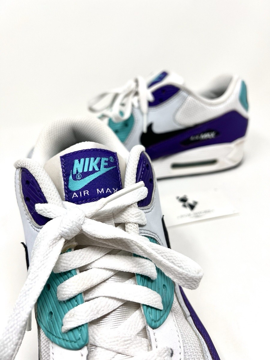 Nike Air Max 90 Grape Purple Teal Blue White Black (2019) - Size