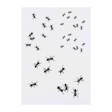 4 x 'Swarming Ants' Temporary Tattoos / Transfers TO00041753 