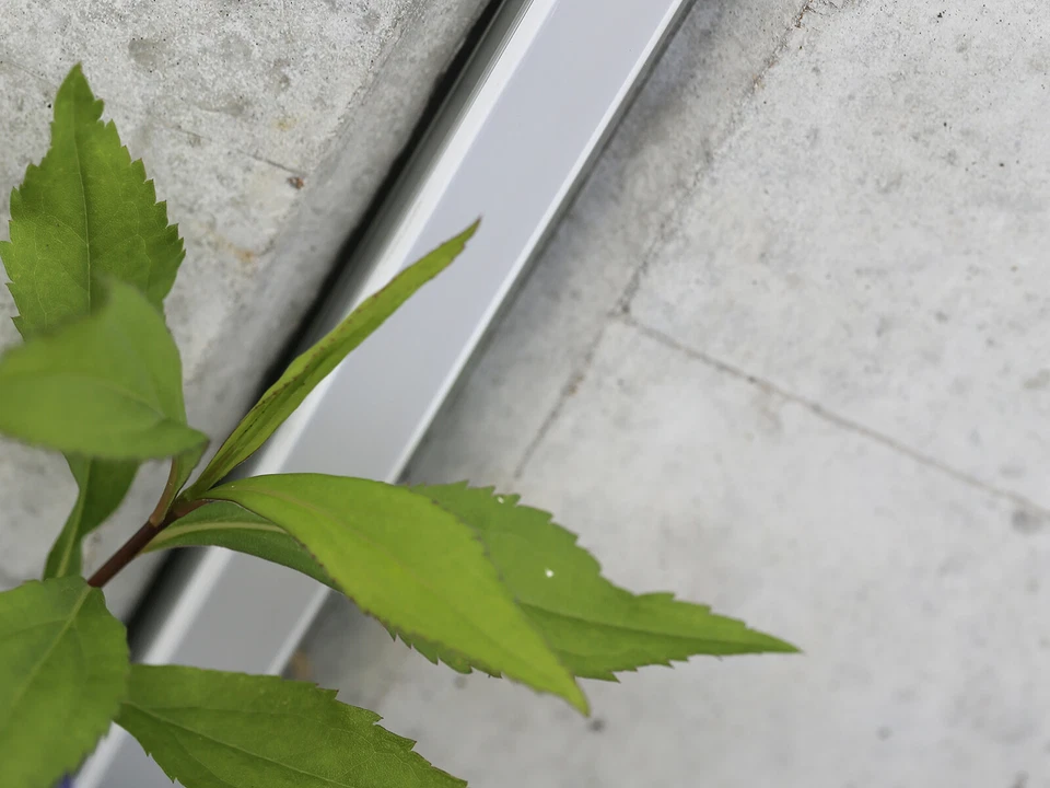 24V neon led lichtband strip Leiste streife kaltweiss CRI 90 Ip65 Dimmbar 1715 - Bild 4 von 4