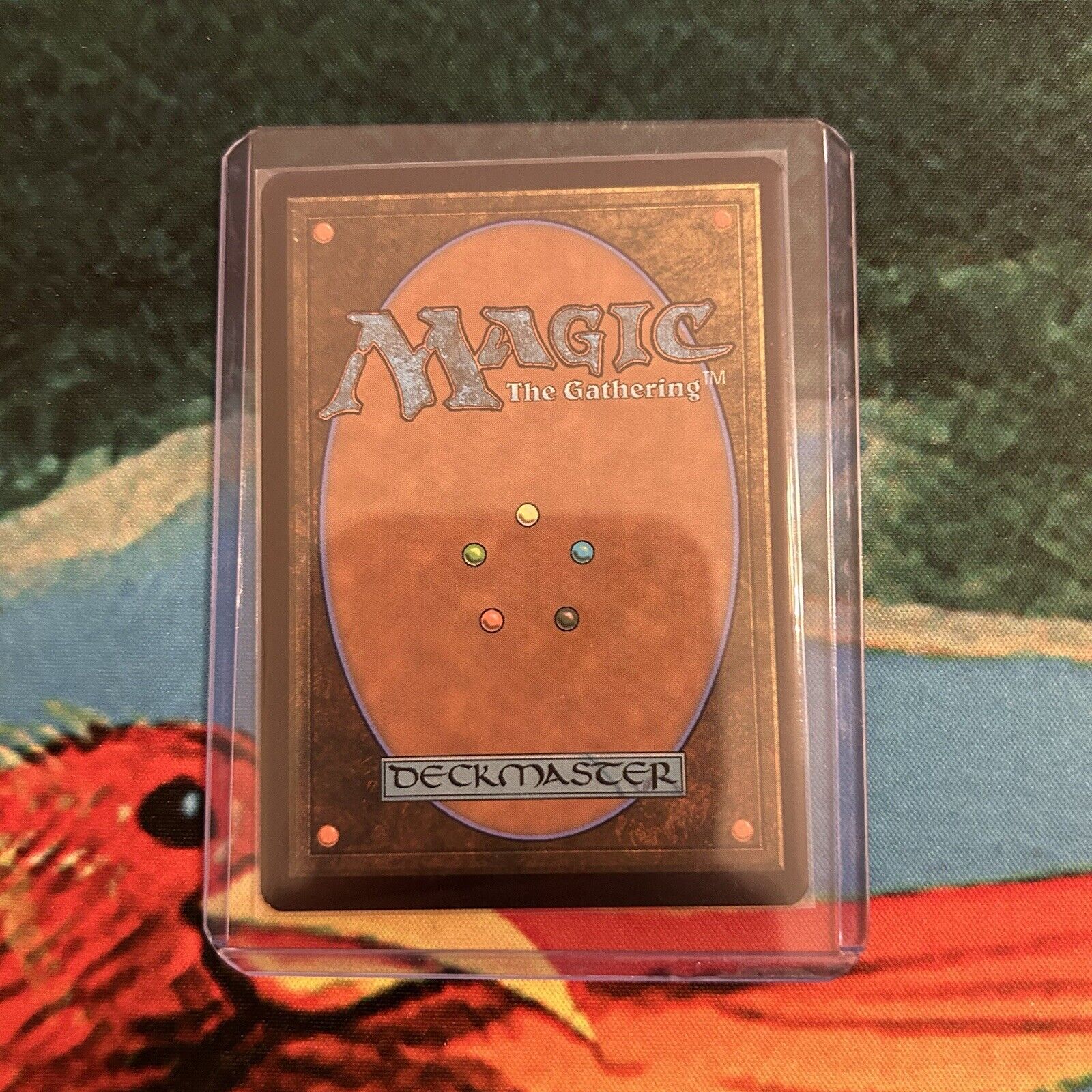 Picture 5 of 5