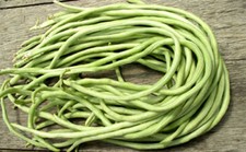 15 Yard Long Bean seeds Asian Chinese Long Bean String beans Productive USA