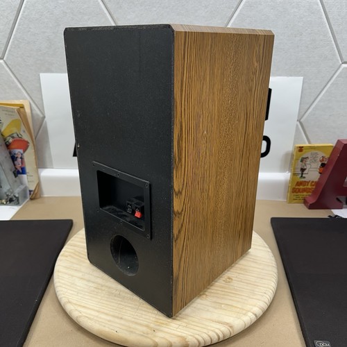 DCM CX-17 Monitor Series Vintage Stereo Shelf Speakers - Refoamed New Foam - 第 9/17 張圖片