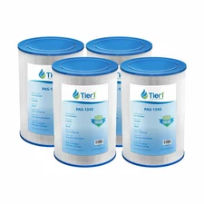 Fits Freeflow Largas TLX RLX PFF25TC-P4 FC-2400 4CH-23 Pool & Spa Filter (4