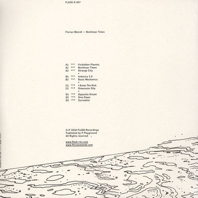 Florian Meindl - Nonlinear Times (Vinyl 12'' - 2019 - EU - Original)