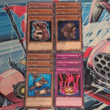 3 x Des/Sea Koala/Wombat & Cursed Seal of the Forbidden Spell SGX2-ENE01/3/5/C17