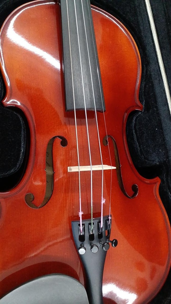 Carlo Giordano 3/4 Vs-1 Violin | eBay