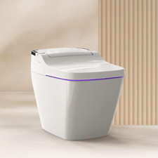 STYLEMENT TCB-090S Smart Bidet Toilet for Bathrooms, Elongated One Piece Toilet,