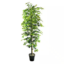 10 Ft. Artificial Ficus Tree in Growers Pot
