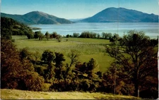 Clear Lake California Scenic Postcard by Eastman's Studio Vintage