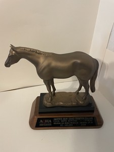 Aqha Trophy | eBay