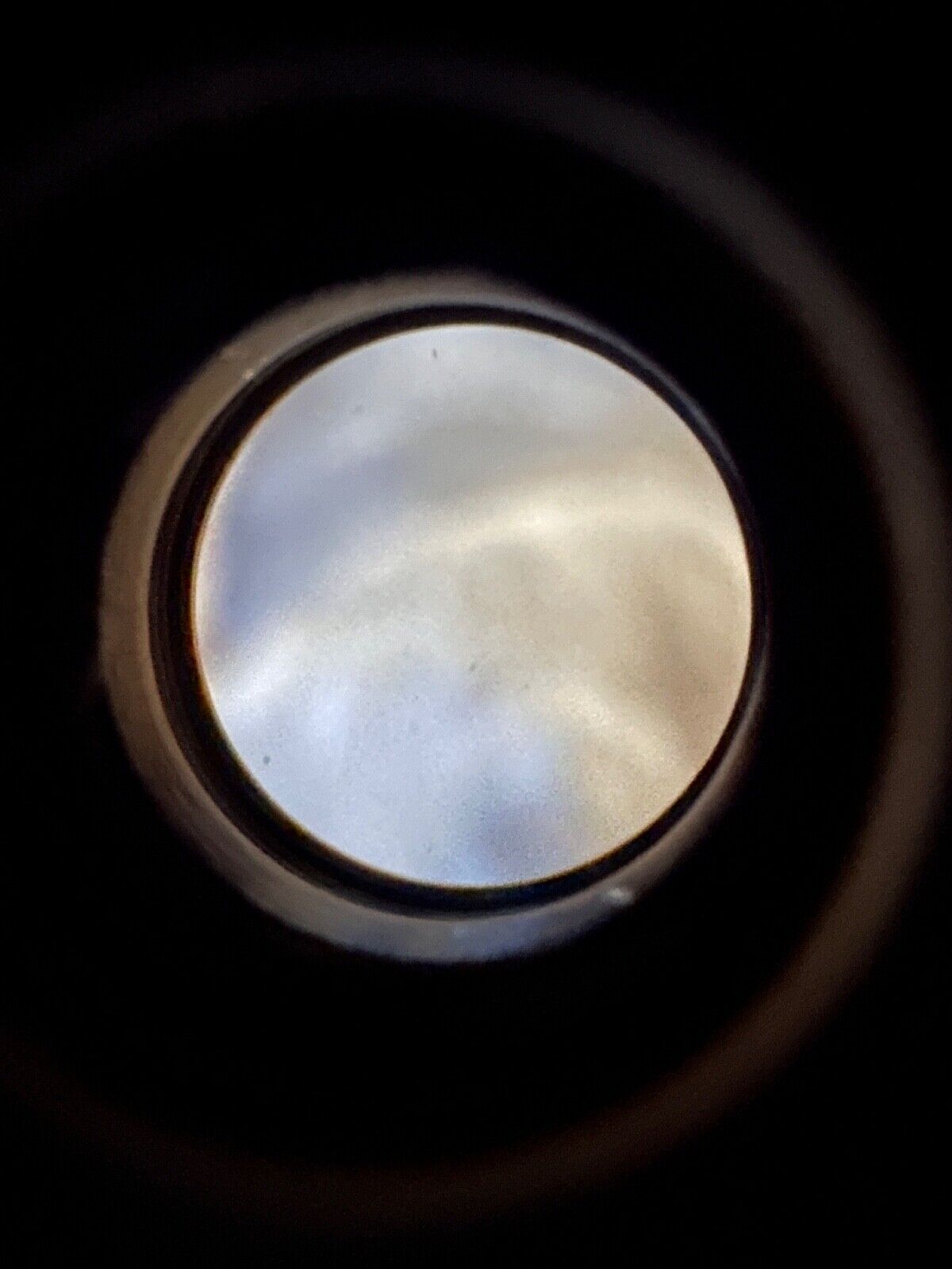 Foto 11 di 12