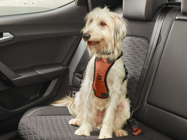 Arnés de seguridad para perro - Talla M original SEAT 000084310D