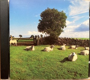 Klf Chill Out | eBay