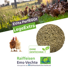 Ergänzungsfuttermittel für Legehennen Hühnerfutter EVita PerfEGGt LegeExtra 20kg