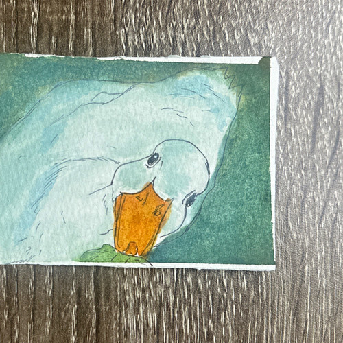 ACEO “selfie duck” 2.5x3.5 artist trading card