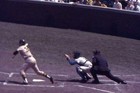 Lot of 6 1969 Chicago Cubs vs. San Diego Padres 35mm Slides — photo 5