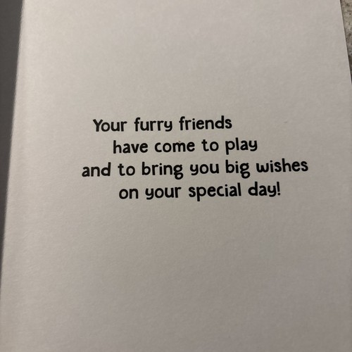 "Tarjeta de felicitación con sello de 5""x7"" Happy Birthday Sesame Street Furry Friends" - Imagen 6 de 10