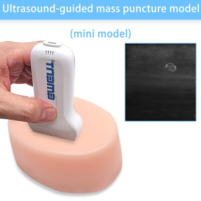 Ultrasound Guided Tumor Puncture Model, Medical Puncture Skill Training Reusable