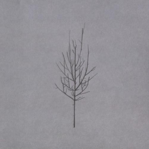 Альбом Low Ones and Sixes (CD) (ИМПОРТ ИЗ Великобритании)