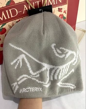 Arc'teryx Bird Head Toque Beanie Gray Merino Wool Unisex Winter NWT 2025