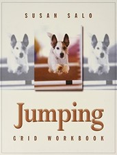 Jumping Grid Workbook by Susan Salo NEW BOOK