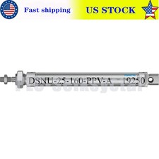 New DSNU-25-160-PPV-A Festo 19250 Fast Shipping Cylinder