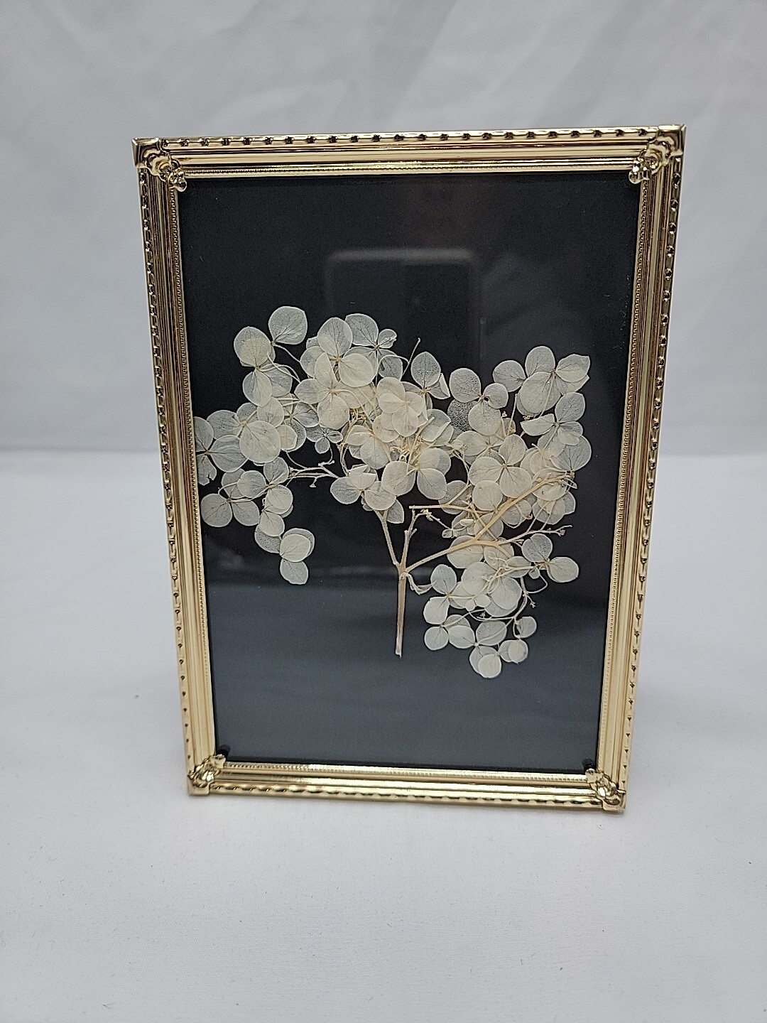 Vintage Pressed Dried Flower Art in Gold Metal Frame 5x7