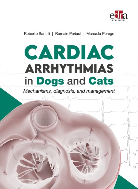 Cardiac Arrhythmias in Dogs and Cats: Mechanisms, diagnosis and management - Image 3