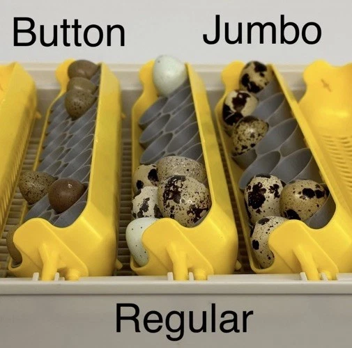 BRINSEA Maticoopx 30 Incubator Quail (Jumbo Size) Egg Tray Insert (set of 2)