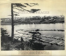 1945 Press Photo Trees by a lake in Alexandrovsk, Russia - pia05262