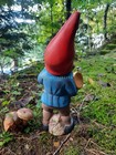 Bild 4 von 8