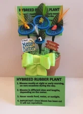 Hybreed Rubber Plant Condom Plant Hilarious Gag Gift Fishermen Master Baiter