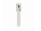 Thomas and Betts Ty-Rap Ls4.6200A Cable Tie 302/304 Sst Pack Of 100