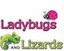 ladybugs-n-lizards