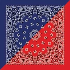 Carolina Creative Bandanna (Navy Blue/Red) Paisley Print 22" x 22" Hav-A-Hank