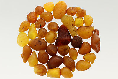 Lot of 36 Natural Raw Rough Rare Drops Nugget Genuine BALTIC AMBER 15g s70202-16