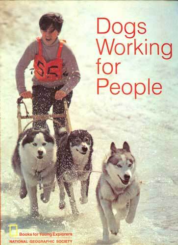 Dogs Working for People - Picture 1 of 1