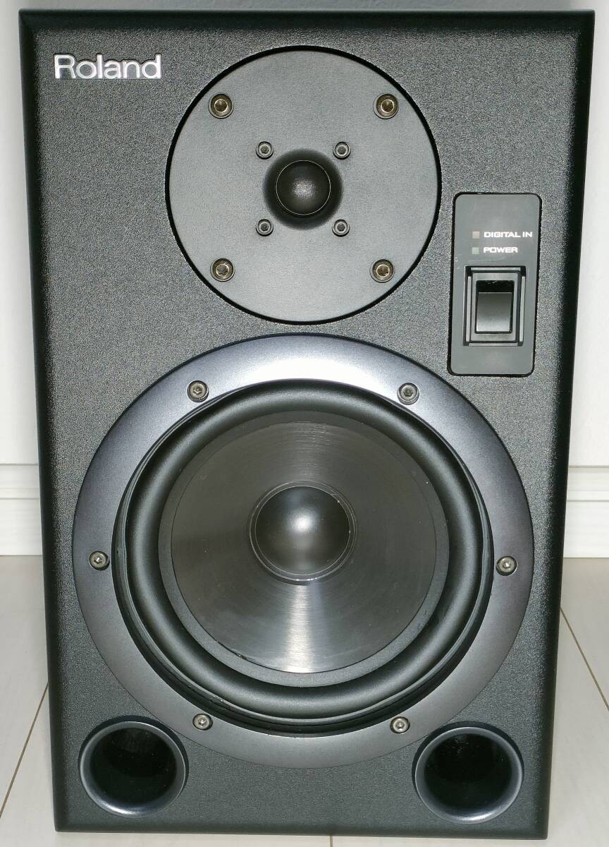 希少動作品！Roland ローランド パワード・モニター DS-7 2本セット 希少動作品！Roland ローランド パワード・モニター DS-7 2本セット
