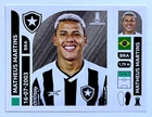 2025 CONMEBOL Copa Libertadores Panini Sticker #043 BOT.17 MATHEUS MARTINS BFR