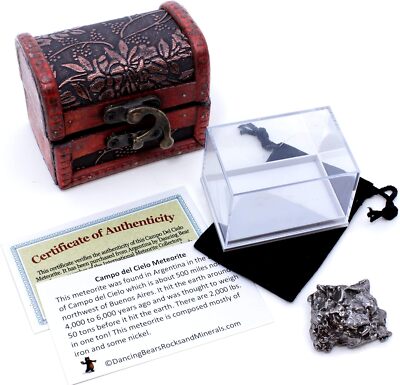 DANCING BEAR Real Meteorite Extra Large (35-55g) Genuine Form Campo 35-55g 