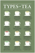 Types of Tea and Their Benefit Green Art Print Poster 12x18