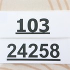 Foto 12 di 12