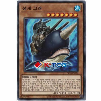 Yugioh Card 