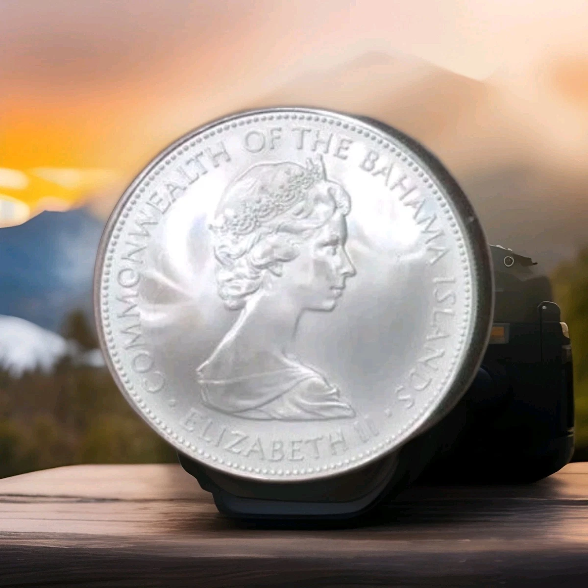 银色未分级巴哈马硬币| eBay