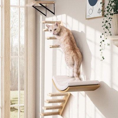 Cat Wall Shelves with Cats Window Perch   4-Piece Wooden Cat Climbing Furn