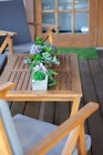 Bild 34 von 34