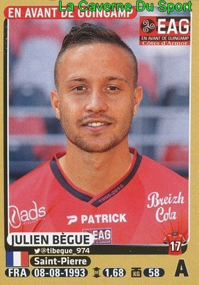 Stickers Vignettes Panini ~ FOOT 2015-16 25 Pochettes