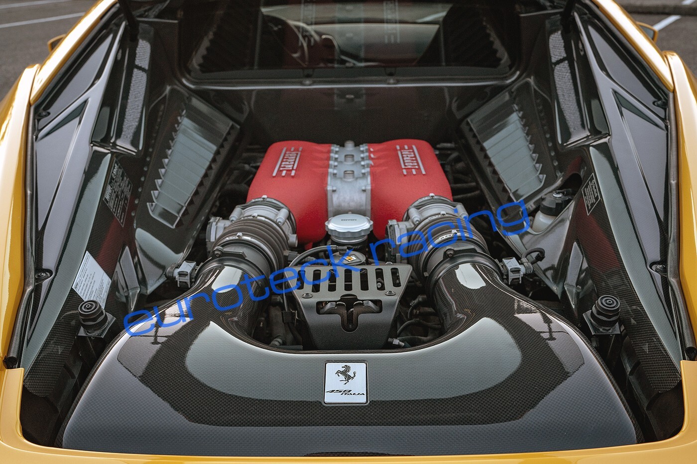 Ferrari 458 Italia Carbon Fiber Engine Bay Cover Set 3pc with Firewall NEW!