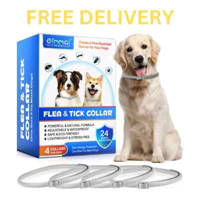 PACK IMMAL Dog Flea and Tick Collar Adjustable 24 Months